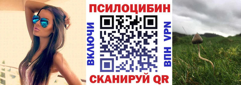 купить наркотик  Белозерск  Галлюциногенные грибы Psilocybe 